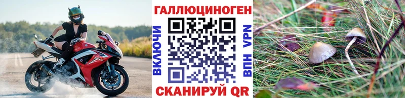 Псилоцибиновые грибы прущие грибы  Павловск 